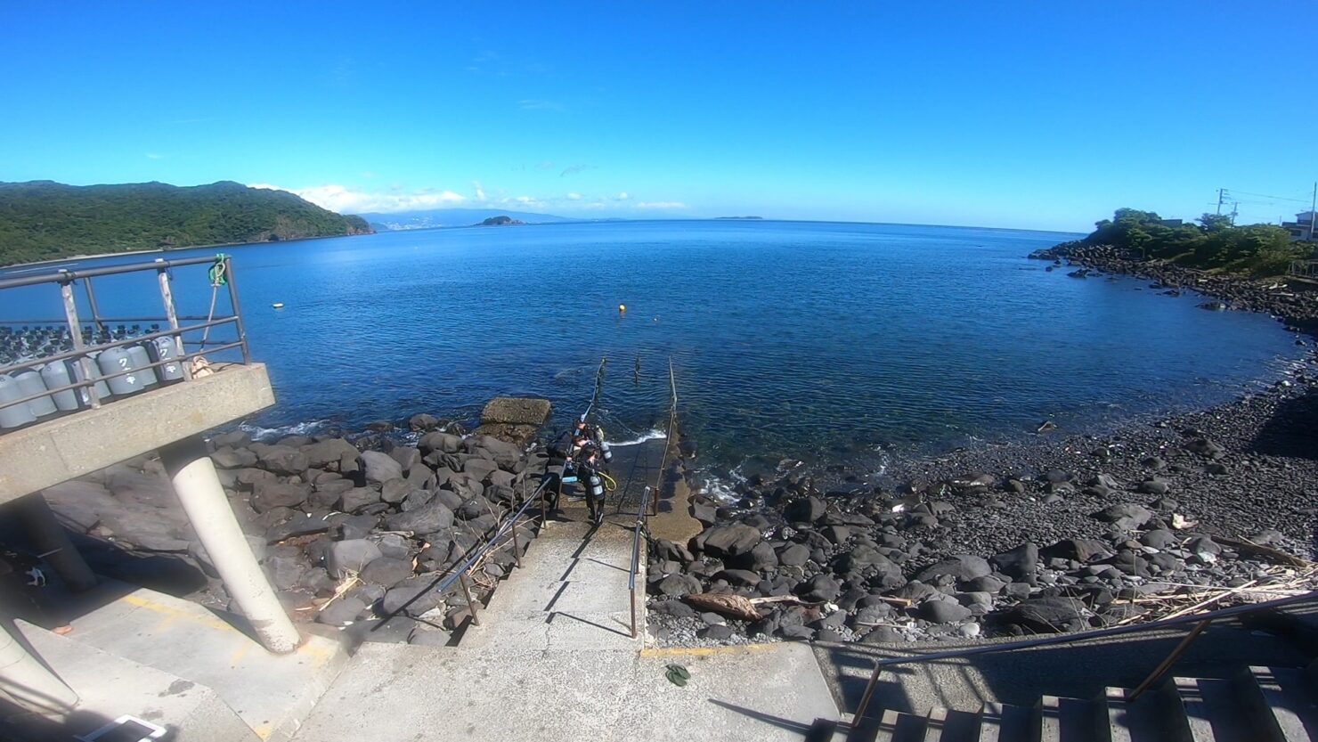 海の中も陸も夏真っ盛り(^O^)。2024-07-26