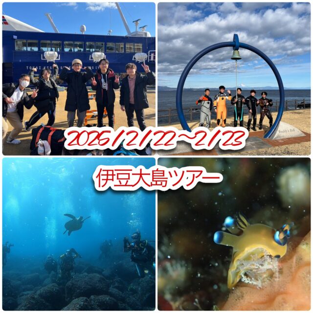 ２月22.23日伊豆大島ツアーに行ってきました！2025-2-26